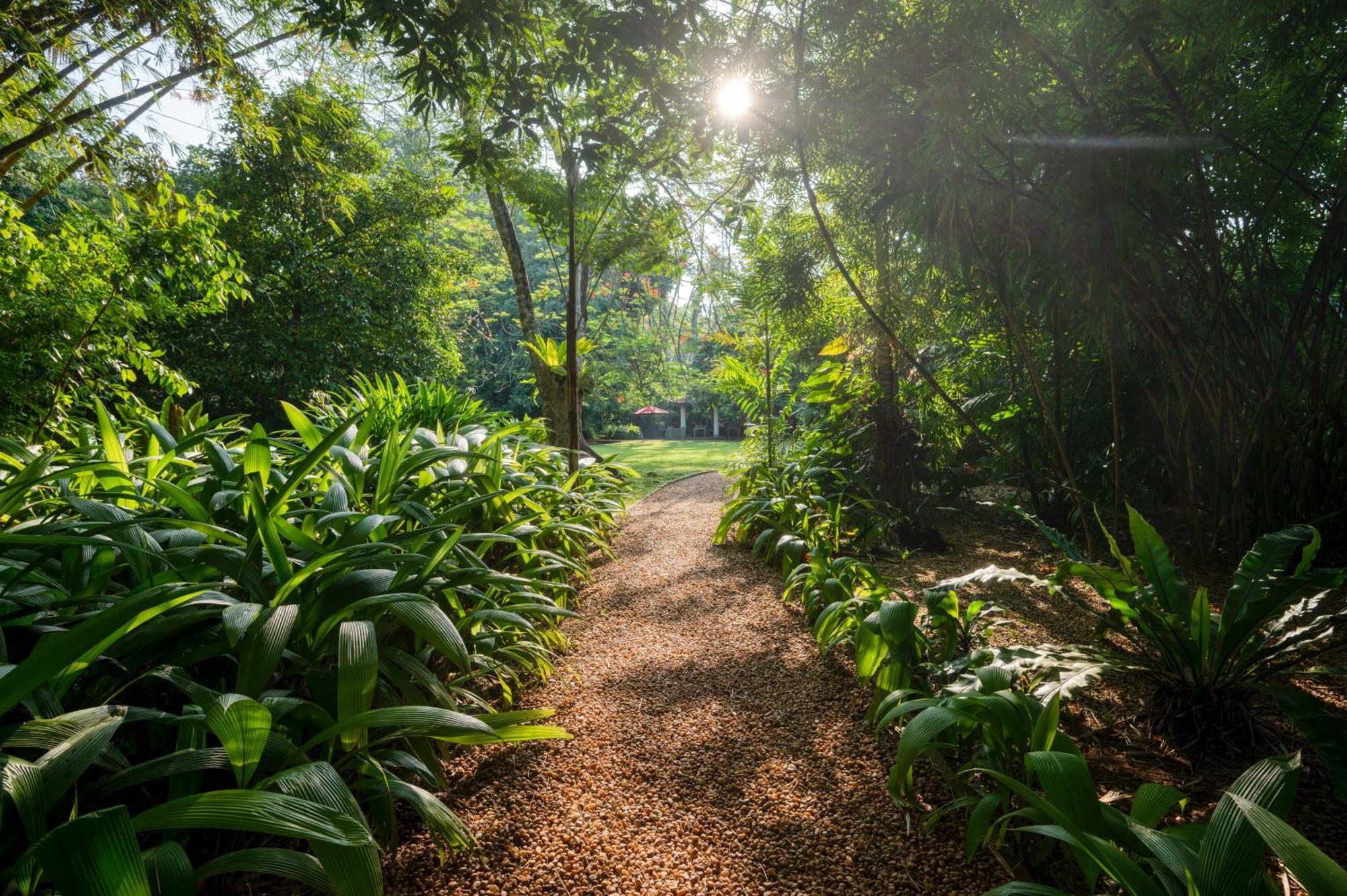 Wallawwa Katunayaka Bagian luar foto